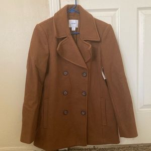 Brown Petticoat